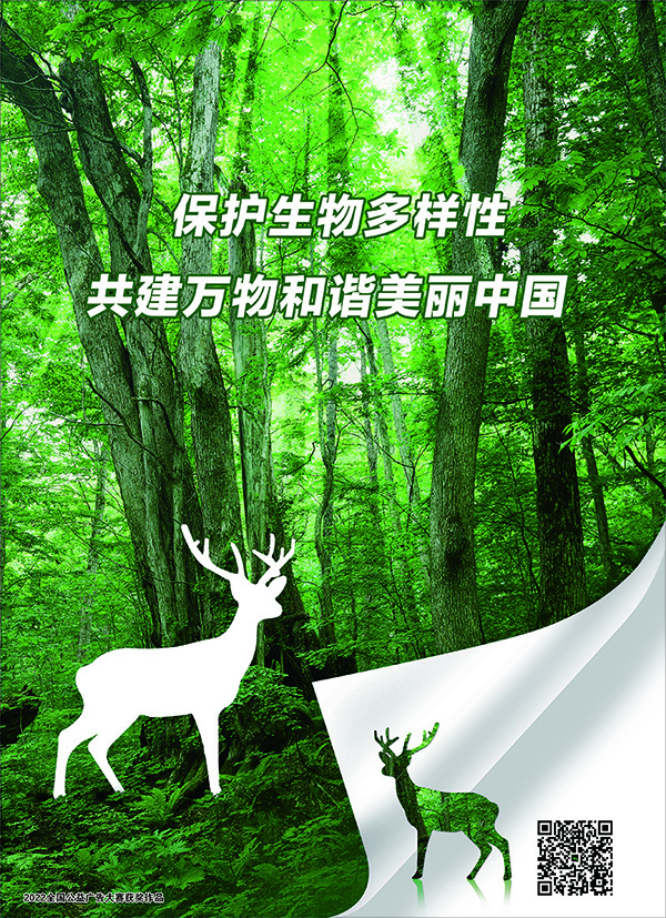 保护生物多样?共徏万物和谐丽中国